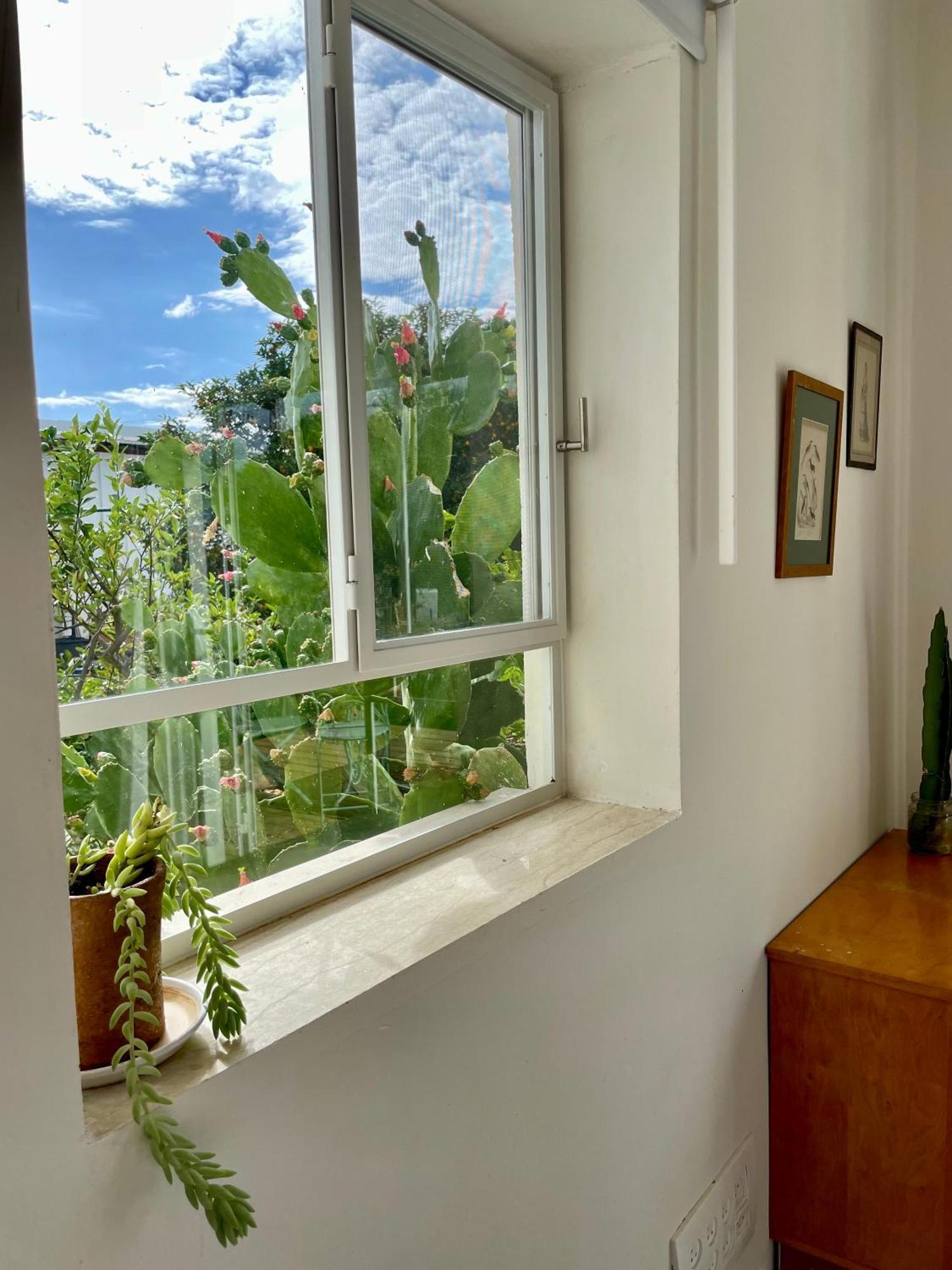בקתות האס ואטינגר Geva Carmel Exterior foto